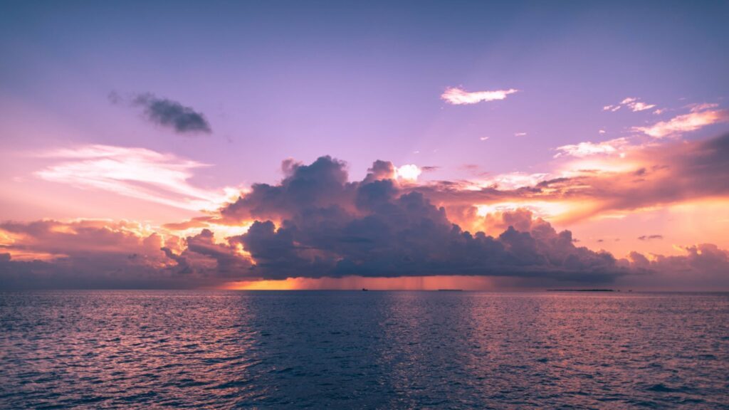 Sunset Dolphin Tour
